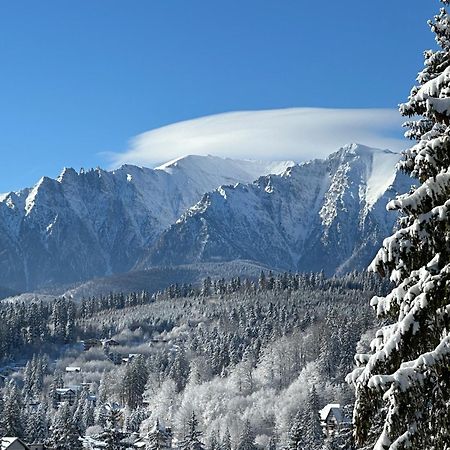 Pine Peak Apartments Predeal Eksteriør billede