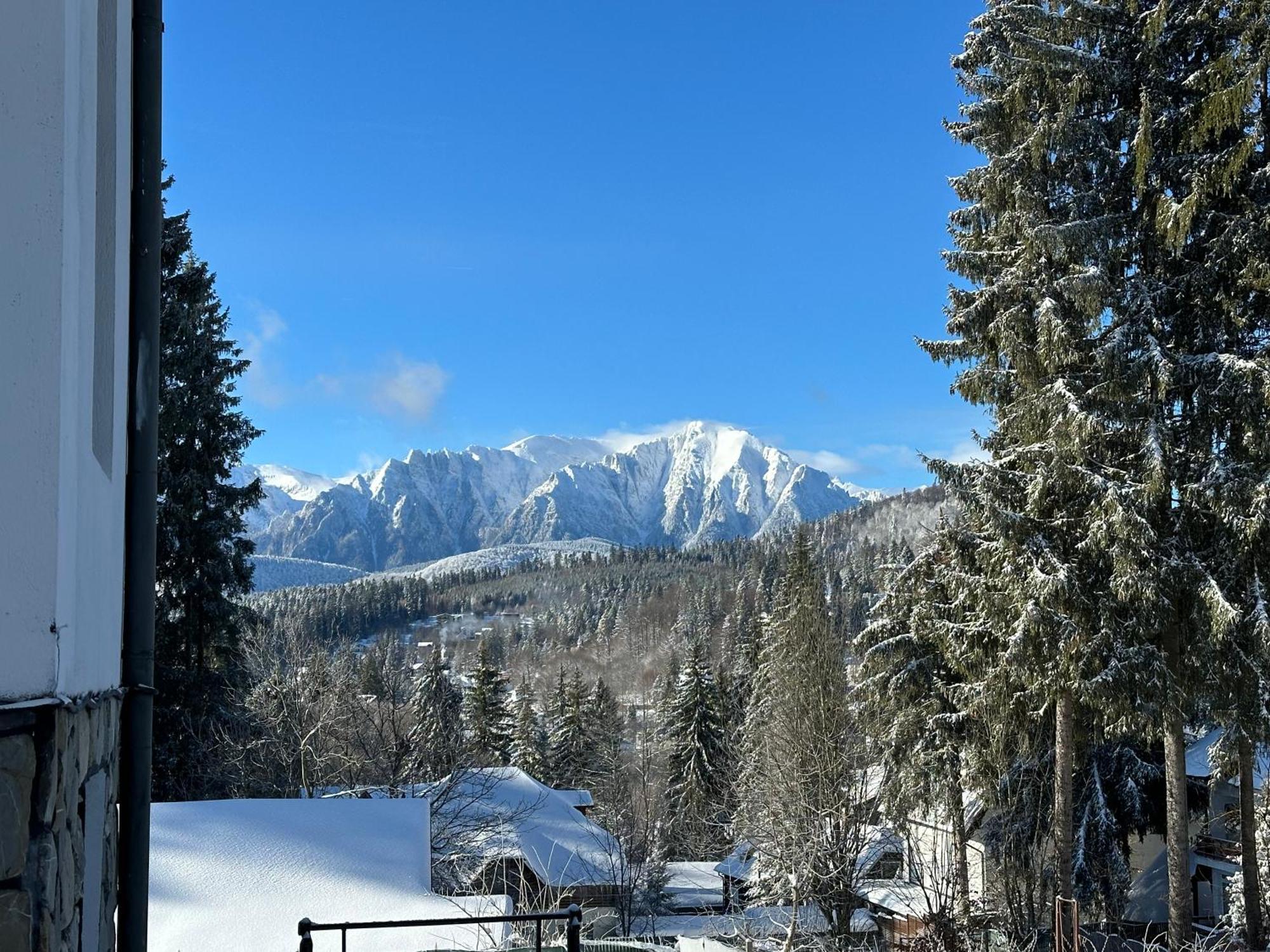Pine Peak Apartments Predeal Eksteriør billede