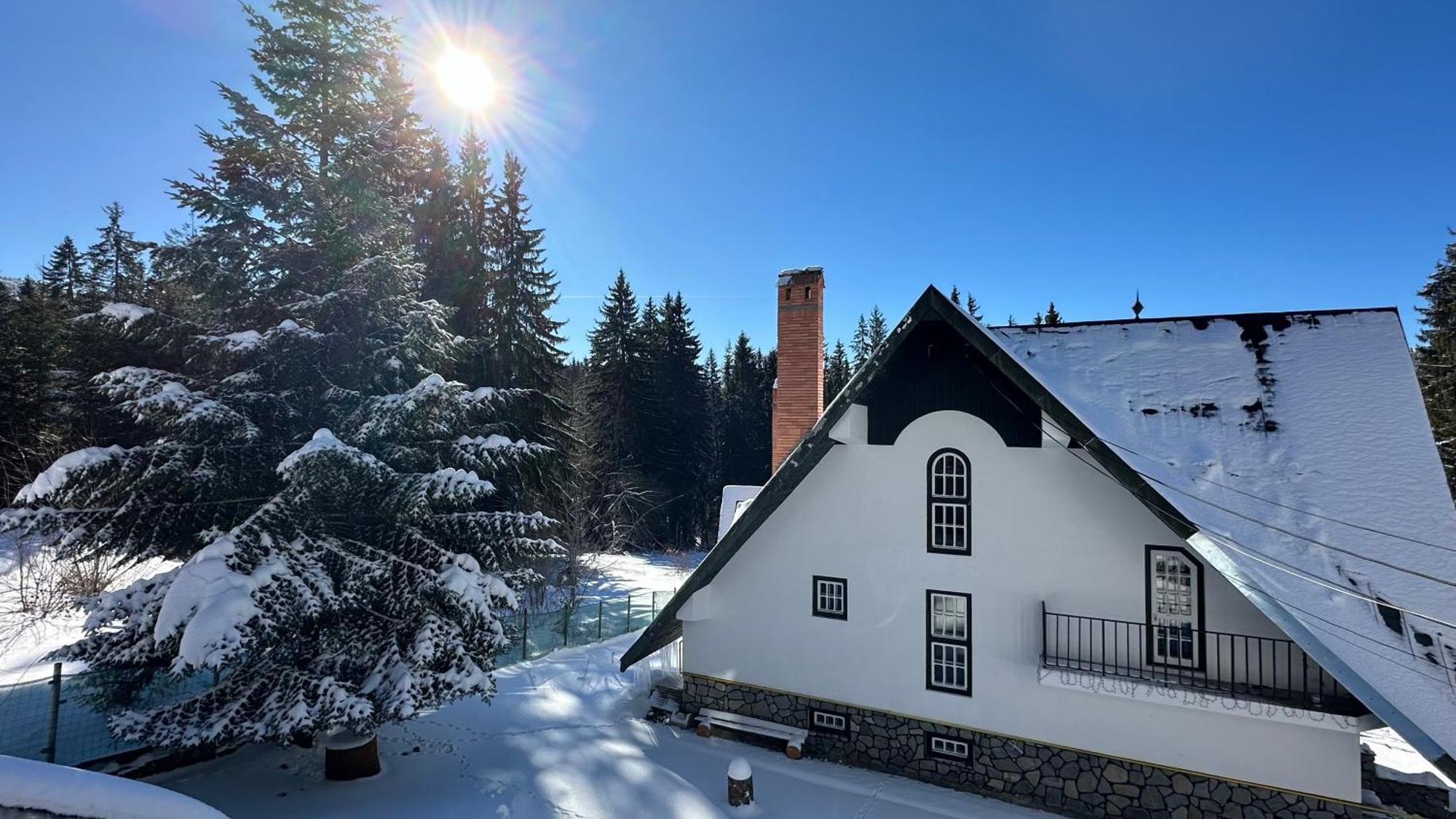 Pine Peak Apartments Predeal Eksteriør billede