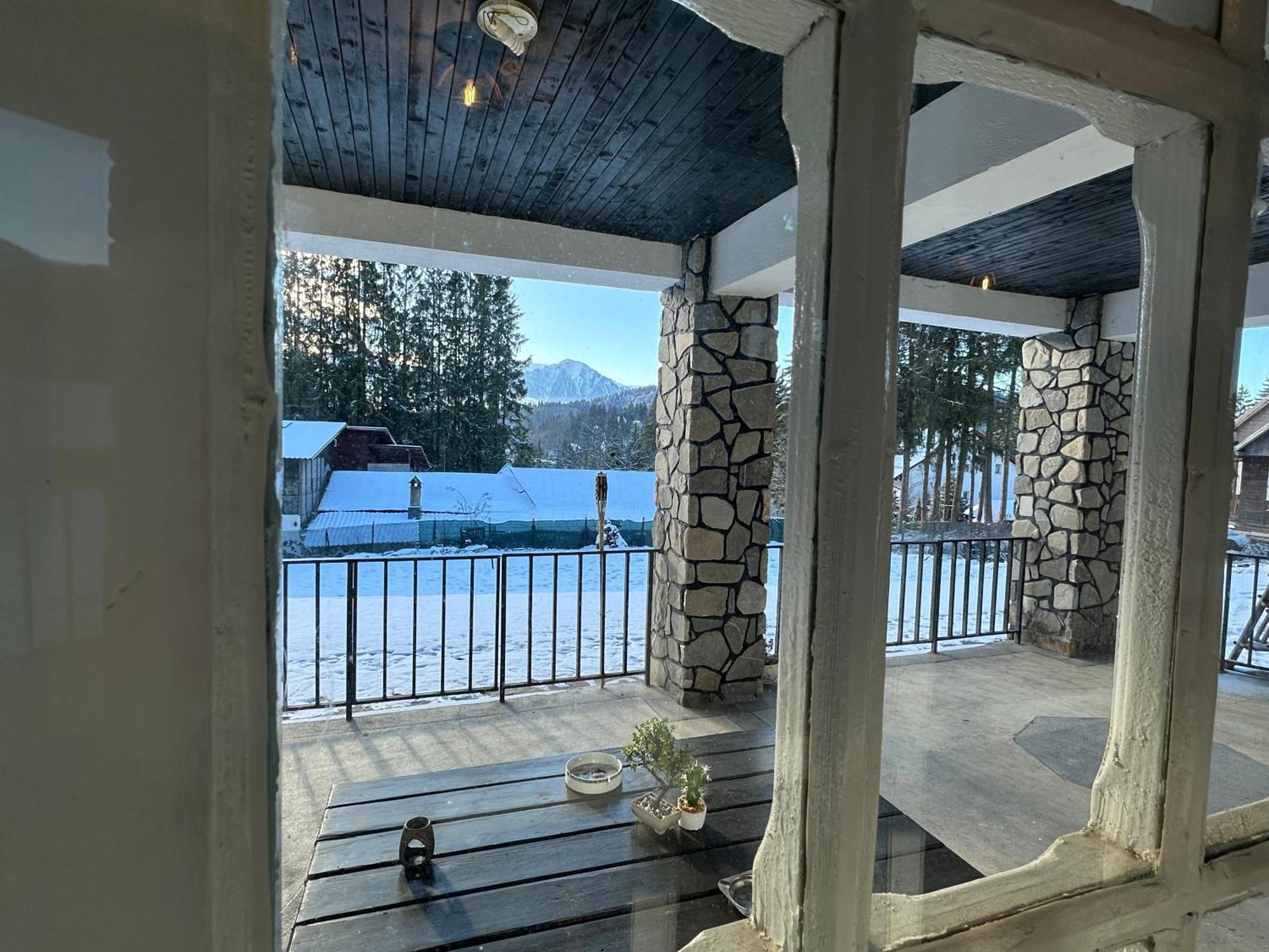 Pine Peak Apartments Predeal Eksteriør billede
