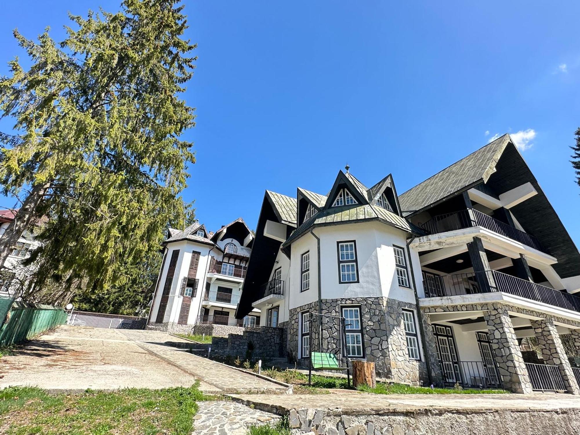 Pine Peak Apartments Predeal Eksteriør billede