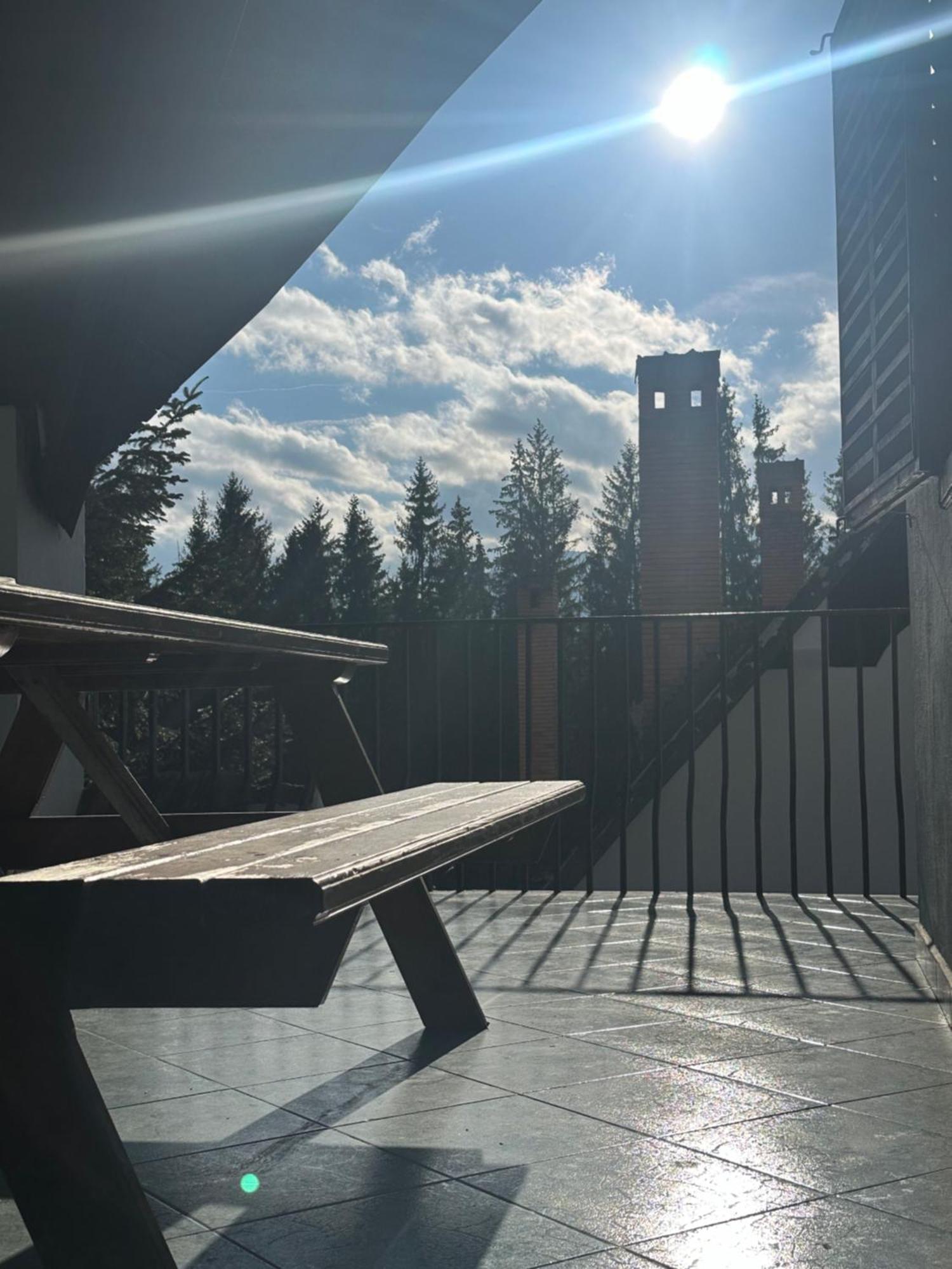 Pine Peak Apartments Predeal Eksteriør billede