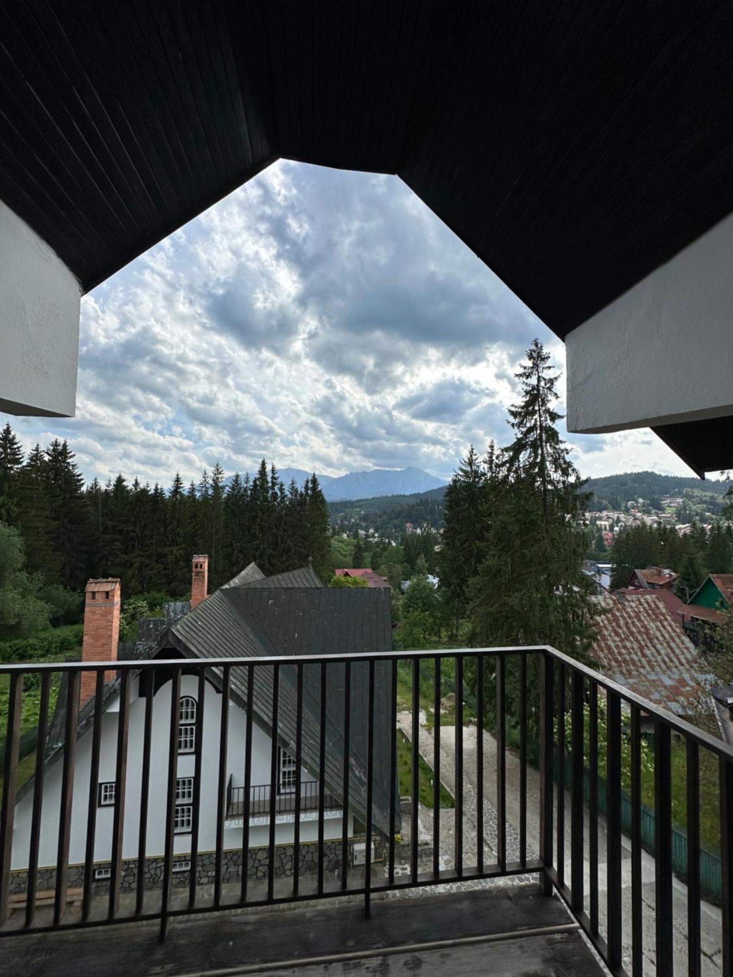 Pine Peak Apartments Predeal Eksteriør billede