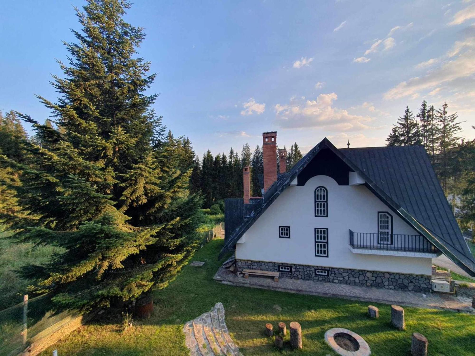 Pine Peak Apartments Predeal Eksteriør billede