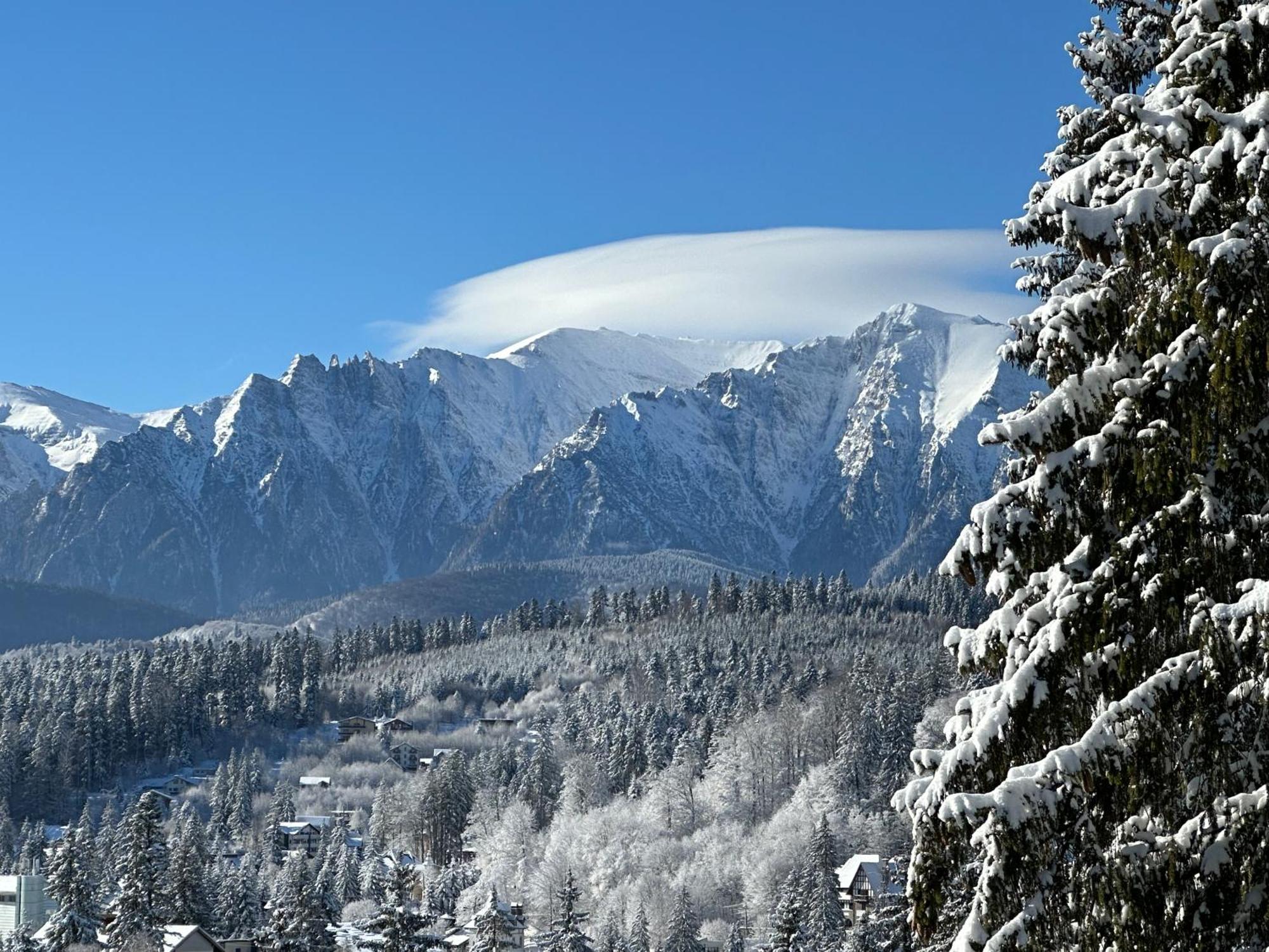 Pine Peak Apartments Predeal Eksteriør billede