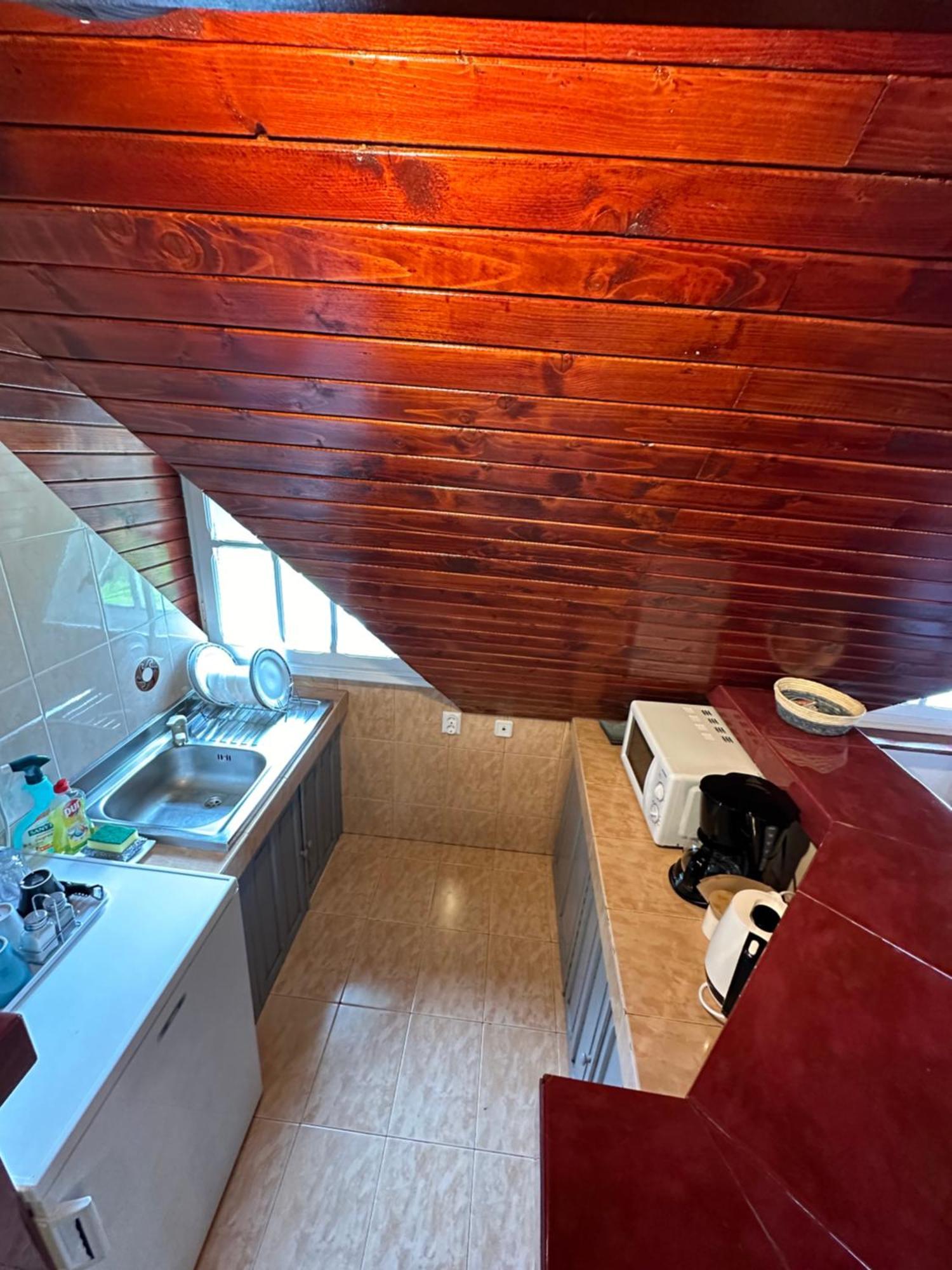 Pine Peak Apartments Predeal Eksteriør billede