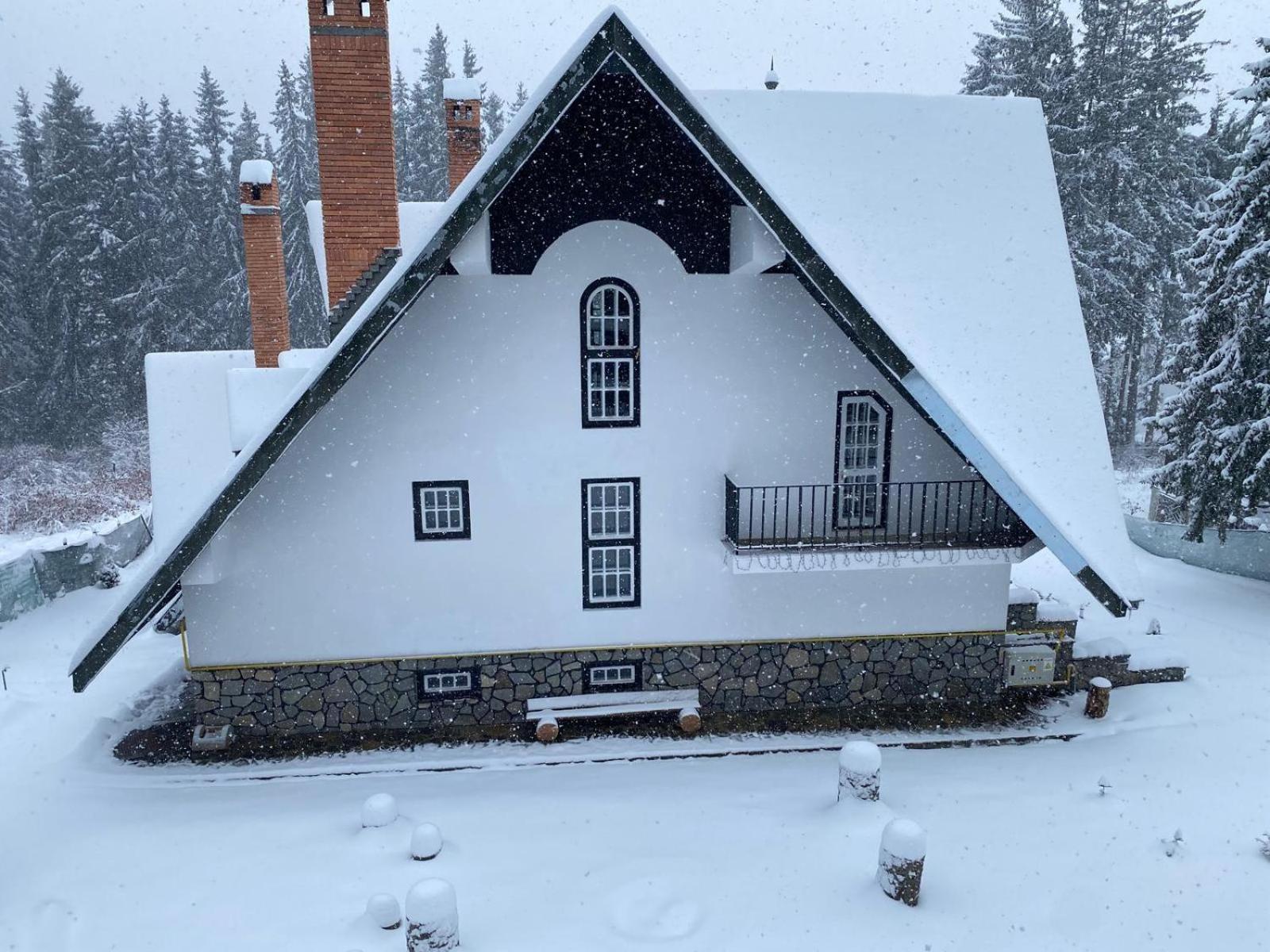 Pine Peak Apartments Predeal Eksteriør billede
