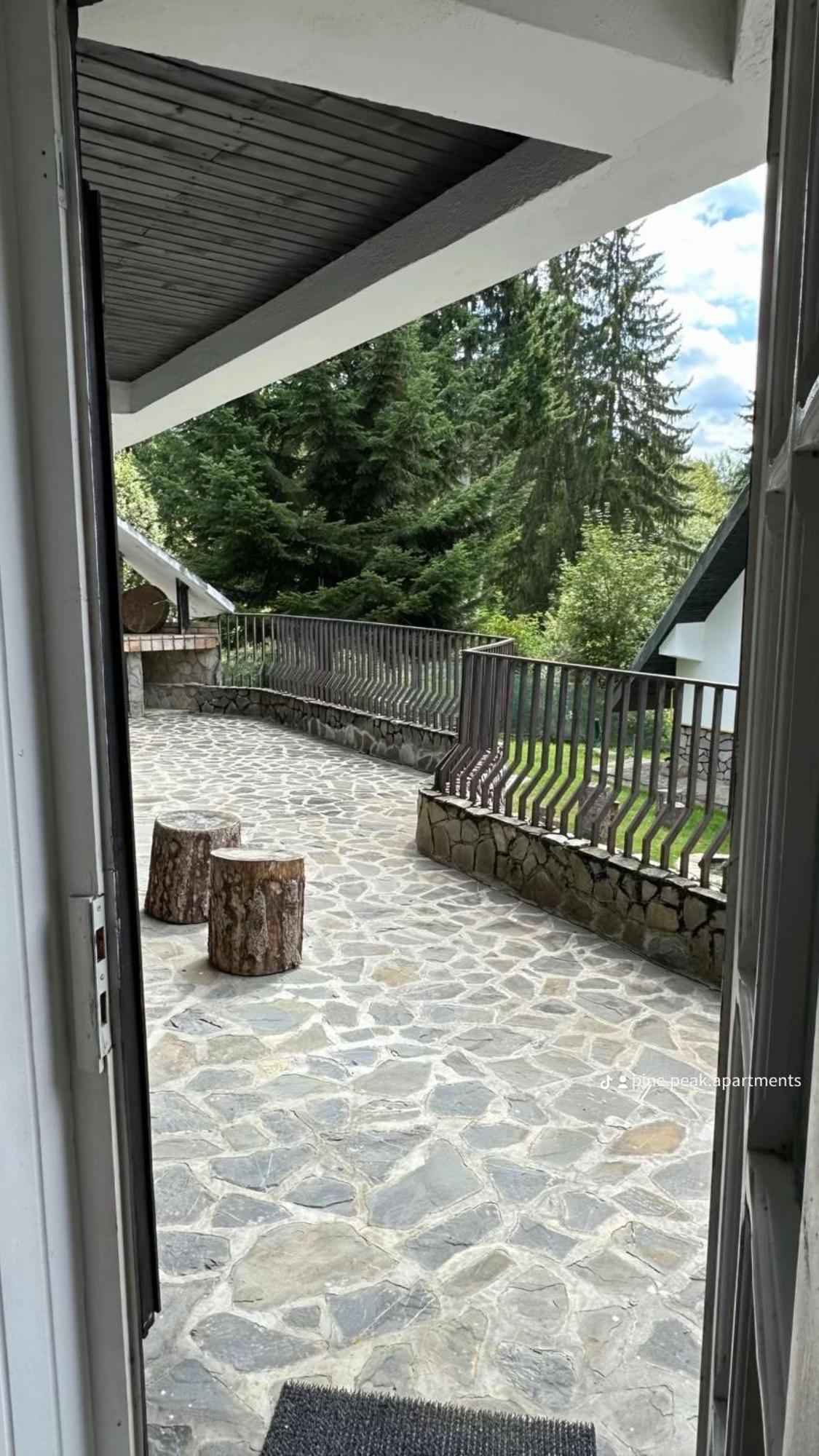 Pine Peak Apartments Predeal Eksteriør billede